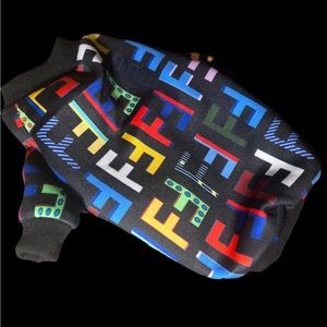 COPY - COPY - Fendi dog sweater